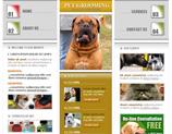 dogs web