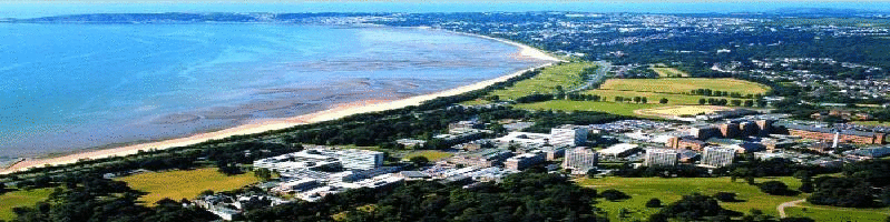 Swansea